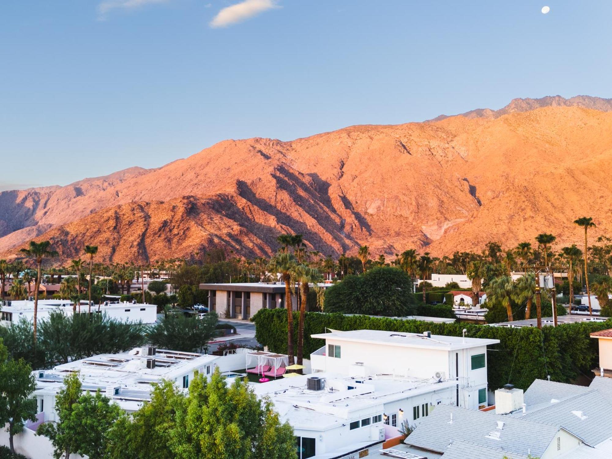 The Cactai Hotel Palm Springs Exterior foto